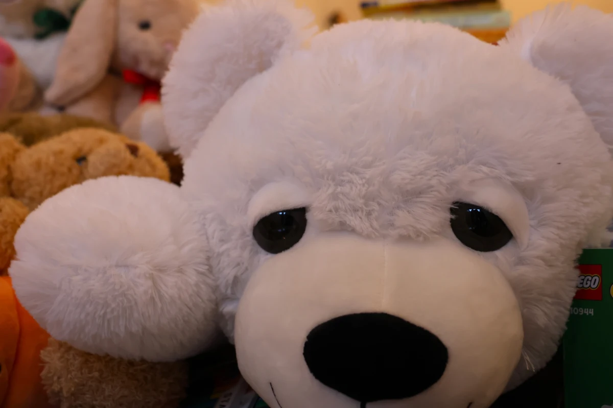 "To tylko mały pluszowy miś, ale daje ogromną moc" - tak o obchodach Dnia Pluszowego Misia mówią przedstawiciele Fundacji Mam Marzenie. W związku z tym świętem na oddziałach dziecięcych w wielu szpitalach w całym kraju małym pacjentom rozdawane są pluszaki.