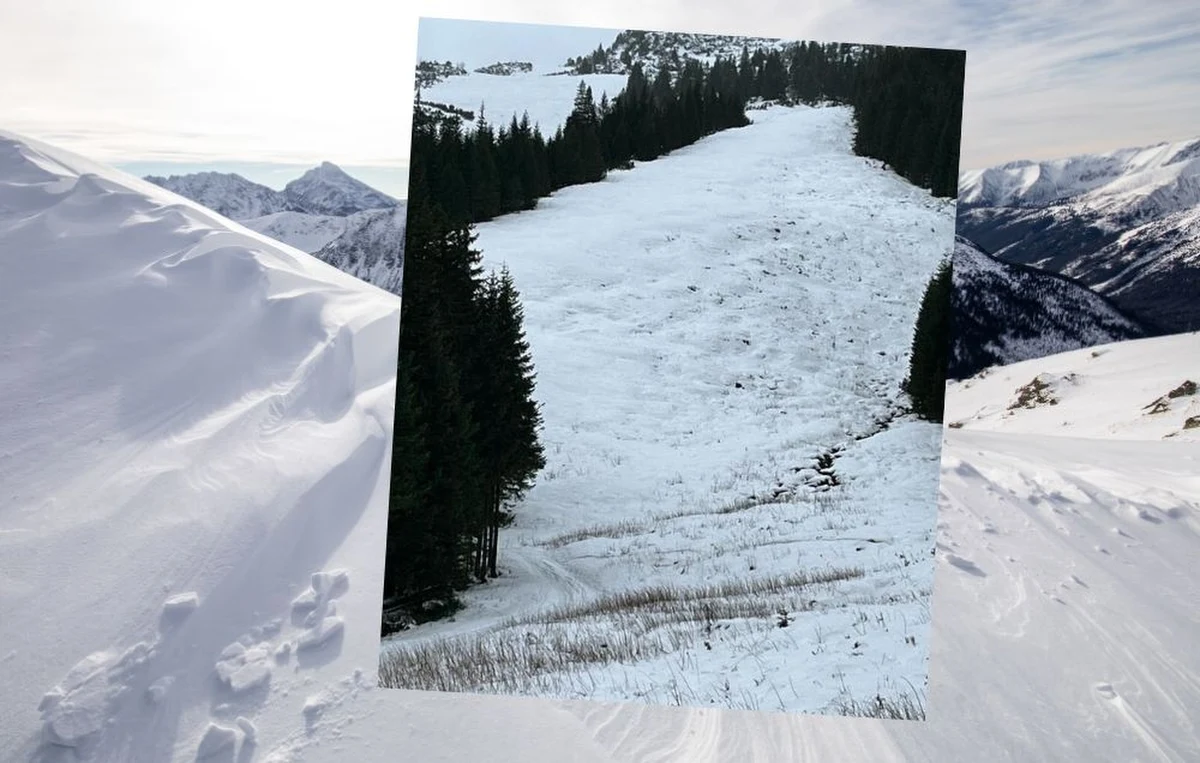Pogoda w Tatrach jest już prawdziwie zimowa. Góry pokryły się śniegiem, a na szczytach leży nawet 70 cm białego puchu. W ostatnich dniach na szlaki wyruszyli pierwsi narciarze, ale Tatrzański Park Narodowy ostrzega: na jazdę na nartach jest jeszcze za wcześnie. Śniegu jest zbyt mało, nie pokrył on jeszcze wystarczająco skał i roślinności. W górach nadal można spotkać niedźwiedzie, które nie zapadły jeszcze w sen zimowy. 