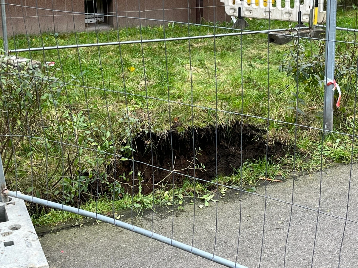 Specjalistyczne badania geologiczne mają wykazać, jak wygląda teren w pobliżu ostatniego pokopalnianego zapadliska, które powstało w Siemianowicach Śląskich - decyzję ws. badań podjął prezydent miasta. Mają one być przeprowadzone najszybciej jak to możliwe.