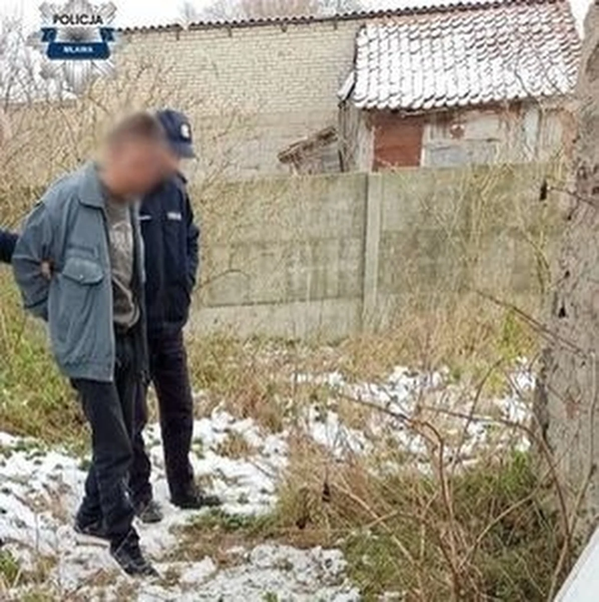 Do 5 lat więzienia grozi 39-latkowi, który w jednej z miejscowości powiatu mławskiego w okrutny sposób zabił trzy psy. Jedno ze zwierząt najpierw uderzył młotkiem, potem wrzucił do paleniska w piecu.