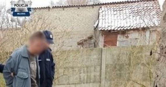Do 5 lat więzienia grozi 39-latkowi, który w jednej z miejscowości powiatu mławskiego w okrutny sposób zabił trzy psy. Jedno ze zwierząt najpierw uderzył młotkiem, potem wrzucił do paleniska w piecu.