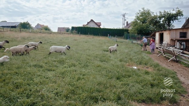 Od zarania dziejów na najwyższych szczytach żyje odosobniona społeczność. Stanowią najbardziej niezwykłą i odrębną grupę etniczną w Polsce. Wyróżnia ją gwara, oryginalne stroje, muzyka, kultura, architektura, zwyczaje i hardy charakter. Od wieków w ten sam sposób juhasi wypasają owce a kobiety wyrabiają oscypek. Serial „Górale” opowiada o tym jak czas zatrzymał się w Górach. Ludzie gór maja spokój wewnętrzny, wiedzą że nic nie muszą, nigdzie się nie spieszą – akceptują co im daje los, żyją w symbiozie z naturą, górami oraz porami roku. Jak mówi Staszek, jeden z bohaterów serii – „Aby tak żyć trzeba się urodzić w górach, albo sobie na takie życie zasłużyć.” Cykl „Górale” ukazuje życie ludzi gór, kamera towarzyszy im przy pracy, przy wypoczynku. Widzowie będą mogli przezywać z bohaterami ich radość, jak również obserwować porażki.