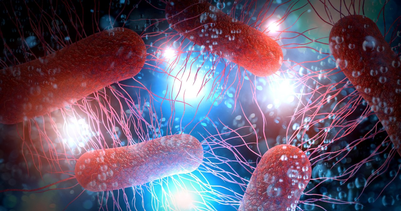 Role.  Bacteria are able to create and transmit memories