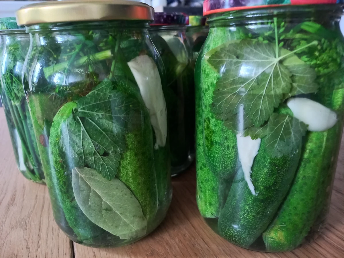 Ziemniaki, marchew i słoiki z przetworami kradł z piwnic 40-latek z Tczewa na Pomorzu. Złodziej, a przy tym miłośnik kiszonych ogórków, wpadł w ręce policji. Wpadł też w tarapaty, ponieważ to nie pierwsze jego kradzieże. Grozi mu surowa kara.