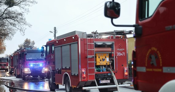 Ponad 100 strażaków gasiło w poniedziałek nad ranem pożar hali w podpoznańskim Skórzewie. Ogień to nie jedyny problem, z którym musiały poradzić sobie służby. 