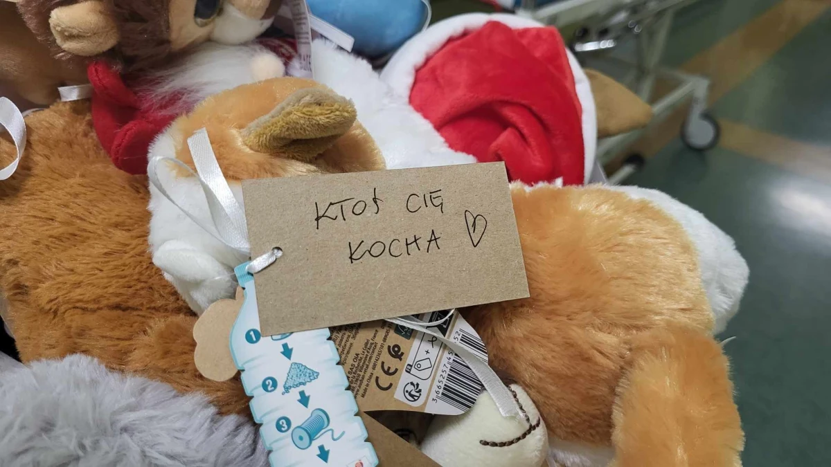 Ponad sto zabawek trafiło do najmłodszych pacjentów Ortopedyczno-Rehabilitacyjnego Szpitala Klinicznego im. Wiktora Degi w Poznaniu. Fundacja Mam Marzenie, realizująca obchody Dnia Pluszowego Misia, zawitała dziś do stolicy Wielkopolski.