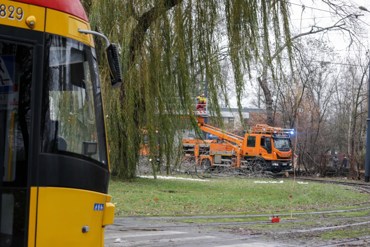 Silny wiatr daje się we znaki mieszkańcom wielu regionów Polski. W sumie strażacy odnotowali ponad 1900 interwencji - to najnowsze, piątkowe  dane.  Uszkodzonych zostało 25 budynków mieszkalnych i gospodarczych. 