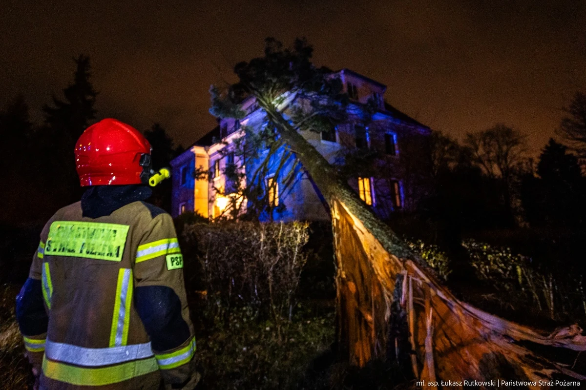 To nie była spokojna noc w Warmińsko-Mazurskiem. W związku z silnym wiatrem strażacy musieli interweniować ponad 80 razy. W kilku przypadkach drzewa spadły na domy. Do takiej sytuacji doszło m.in. w Ełku, na szczęście nikomu nic się nie stało.