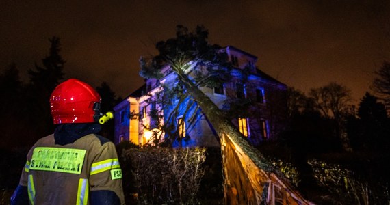 To nie była spokojna noc w Warmińsko-Mazurskiem. W związku z silnym wiatrem strażacy musieli interweniować ponad 80 razy. W kilku przypadkach drzewa spadły na domy. Do takiej sytuacji doszło m.in. w Ełku, na szczęście nikomu nic się nie stało.
