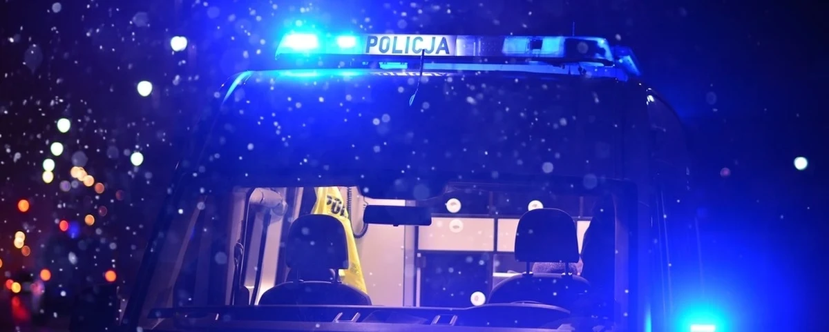 Drzewo przewróciło się na autobus we wsi Kopina pod Elblągiem. Jedna poszkodowana osoba trafiła do szpitala. 