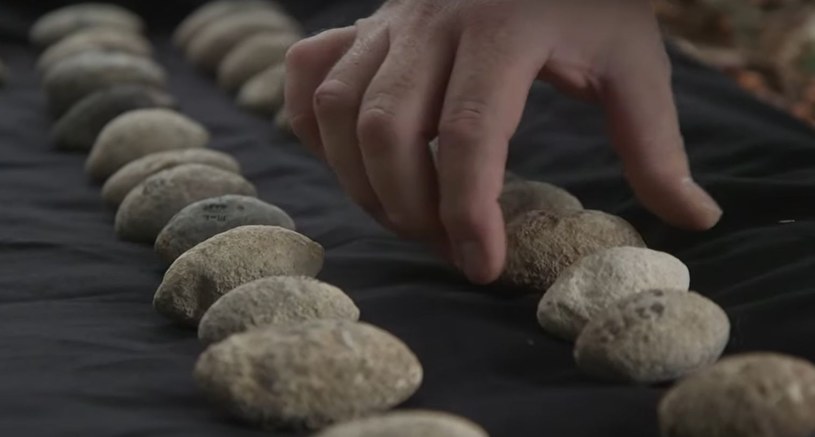 Naukowcy odkryli dowody sugerujące, że najwcześniejsza znana nam fabryka produkująca znormalizowaną broń wojenną mogła powstać już we wczesnej epoce miedzi. A mowa o produkowanych masowo... kamieniach do procy.