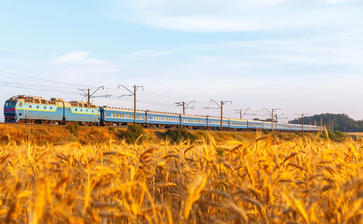 Ministerstwo rolnictwa opublikowało na stronie internetowej wykaz firm importujących zboże z Ukrainy. Minister rolnictwa Anna Gembicka wyjaśniła, że lista składa się z danych, którymi dysponują inspekcje podlegające resortowi. Dodała, że wystąpiła do Krajowej Administracji Skarbowej o udostępnienie listy KAS.