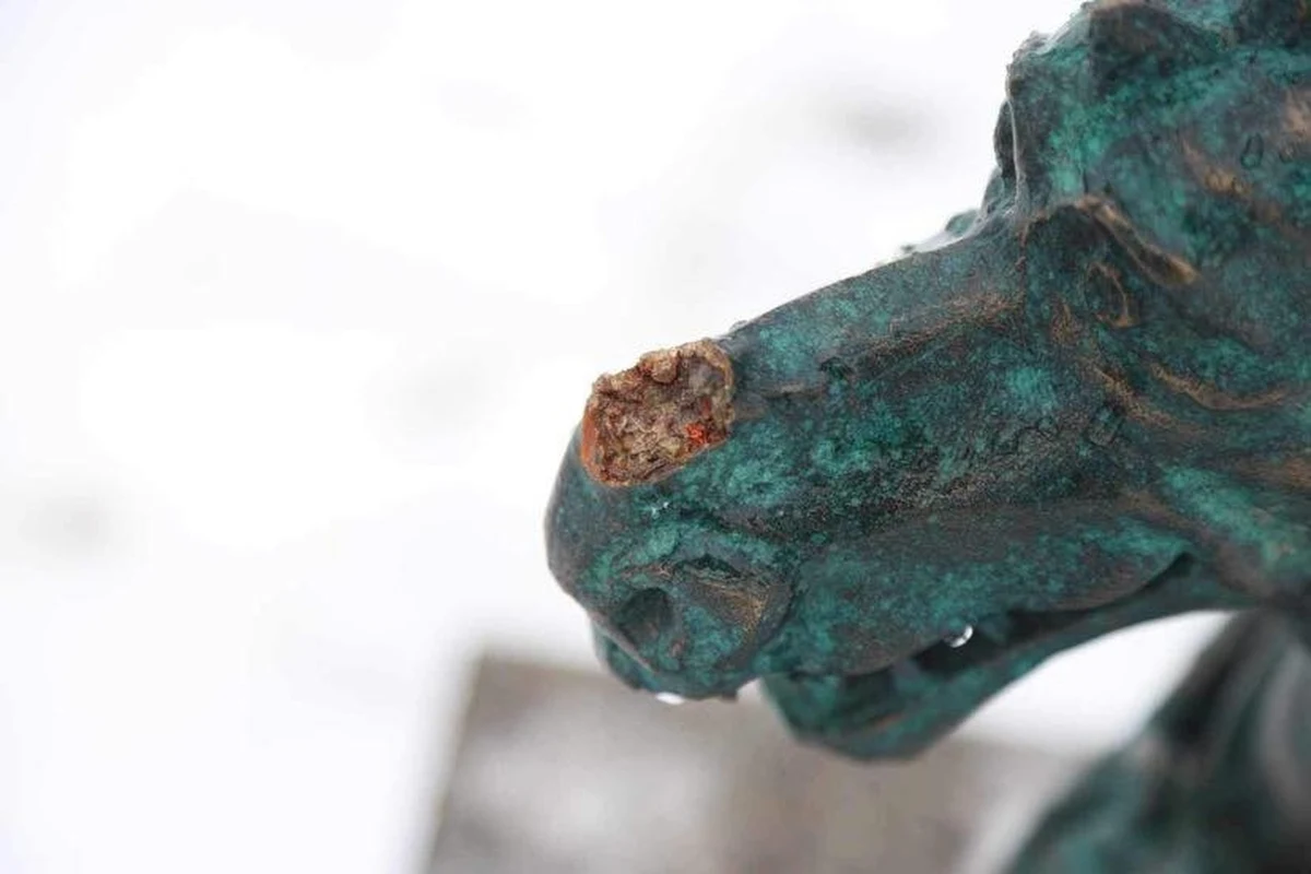 Zaledwie kilka dni temu pierwsze figurki ze Smoczego Szlaku w Krakowie stanęły na ulicach miasta, a już smok turysta jest bezbronny. Stracił róg. 