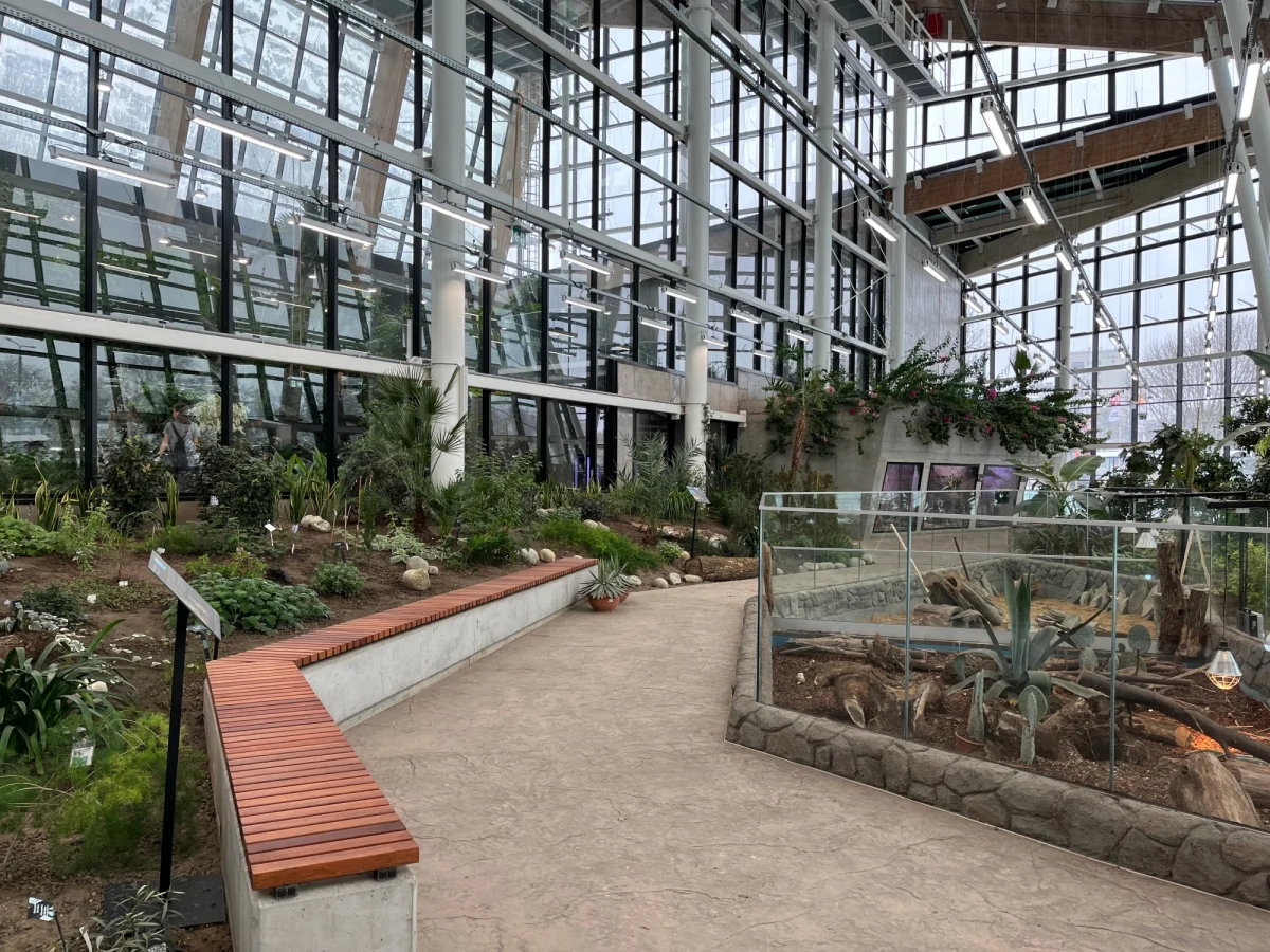 W sobotę w Sosnowcu otwarte zostanie Centrum Edukacji Ekologicznej Egzotarium. W placówce, która zastąpi dawne niewielkie egzotarium z kilkudziesięcioletnią tradycją, trwają ostatnie przygotowania i prace wykończeniowe. Wewnątrz na zwiedzających czekają: akwaria, terraria i woliery ze zwierzętami oraz piękne rośliny. 