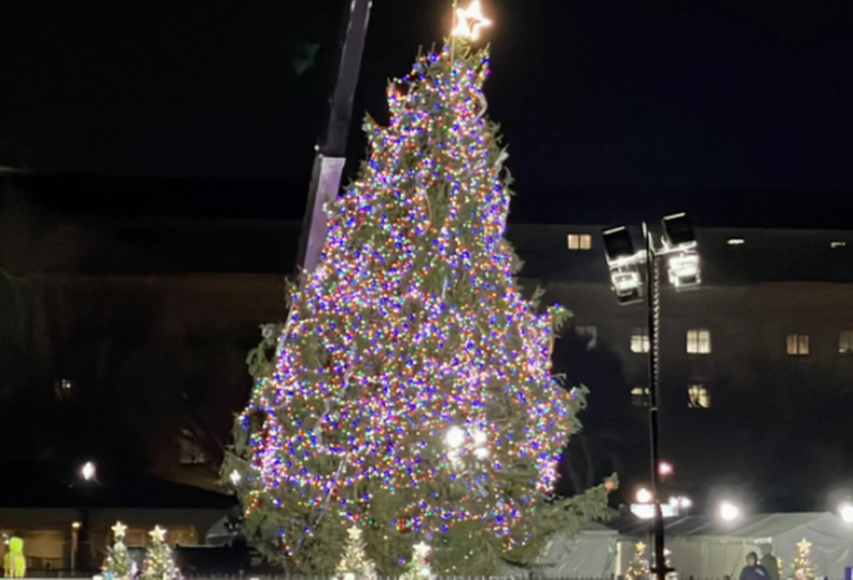 Są kłopoty z choinką narodową w Waszyngtonie. Potężne drzewo przewrócił wiatr. Służby starają się je ustawić, bo jutro lampki na choince mają włączyć prezydent Joe Biden wraz z pierwszą damą Jill Biden. 