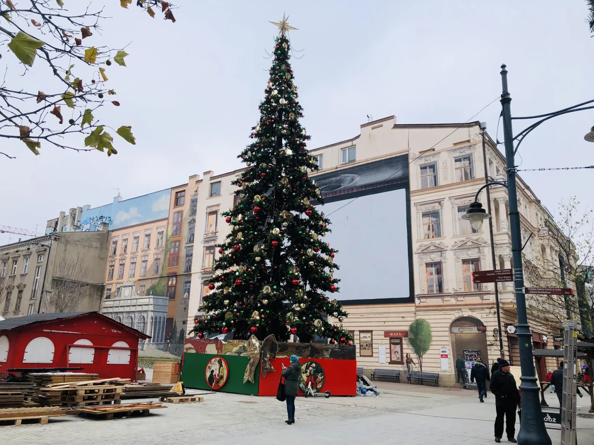 Uwielbiasz świąteczną atmosferę i już nie możesz doczekać się iluminacji bożonarodzeniowych? Ta propozycja jest dla Ciebie! Zostań Świątecznym Mistrzem Ceremonii w Łodzi. W piątek - 1 grudnia - rozbłyśnie największa choinka w mieście, a zwycięzca charytatywnej licytacji będzie mógł włączyć światełka na tym gigantycznym, świątecznym drzewie.