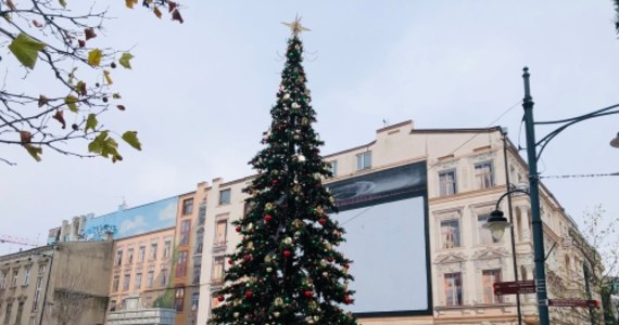 Uwielbiasz świąteczną atmosferę i już nie możesz doczekać się iluminacji bożonarodzeniowych? Ta propozycja jest dla Ciebie! Zostań Świątecznym Mistrzem Ceremonii w Łodzi. W piątek - 1 grudnia - rozbłyśnie największa choinka w mieście, a zwycięzca charytatywnej licytacji będzie mógł włączyć światełka na tym gigantycznym, świątecznym drzewie.