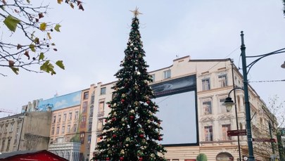 ​Zostań Świątecznym Mistrzem Ceremonii!