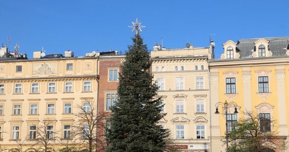 Już w sobotę w Krakowie uroczyste rozświetlenie Bożonarodzeniowej Choinki. Drzewko zabłyśnie tuż po godz. 17.00 w Rynku Głównym. 