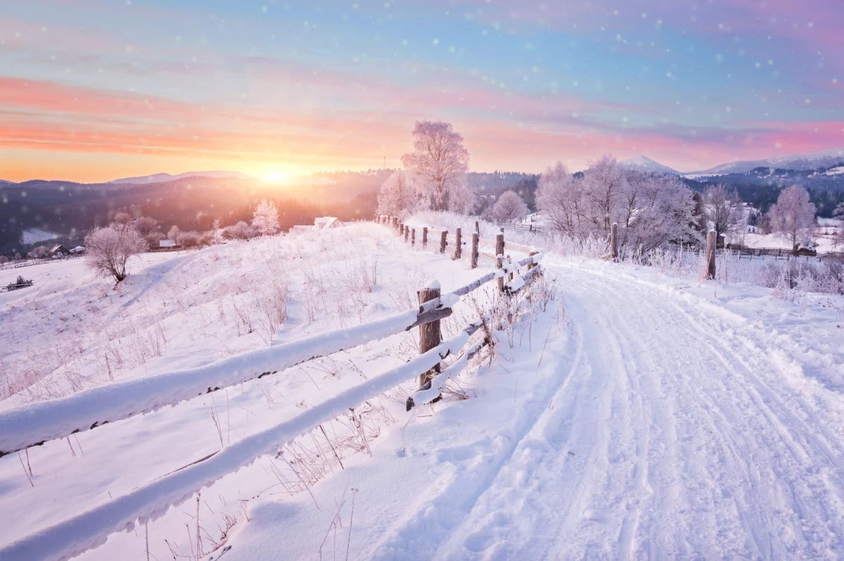 Policja wyjaśnia szczegóły śmierci 58-latka znalezionego w pustostanie w gminie Kraśniczyn (Lubelskie). Według wstępnych ustaleń przyczyną było wychłodzenie organizmu. Funkcjonariusze apelują o czujność i zainteresowanie osobami, które mogą być narażone na działanie niskich temperatur.

