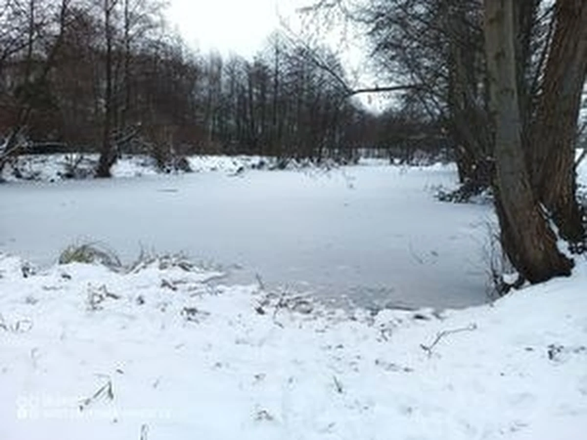 Dwie 10-latki bawiące się na placu zabaw w Parczewie zobaczyły kotka, który wbiegł na pokryty lodem staw. Dzieci chciały go złapać i weszły na zamarzniętą taflę. Niebezpieczną sytuację zauważył świadek i zaalarmował dyżurnego policji.

