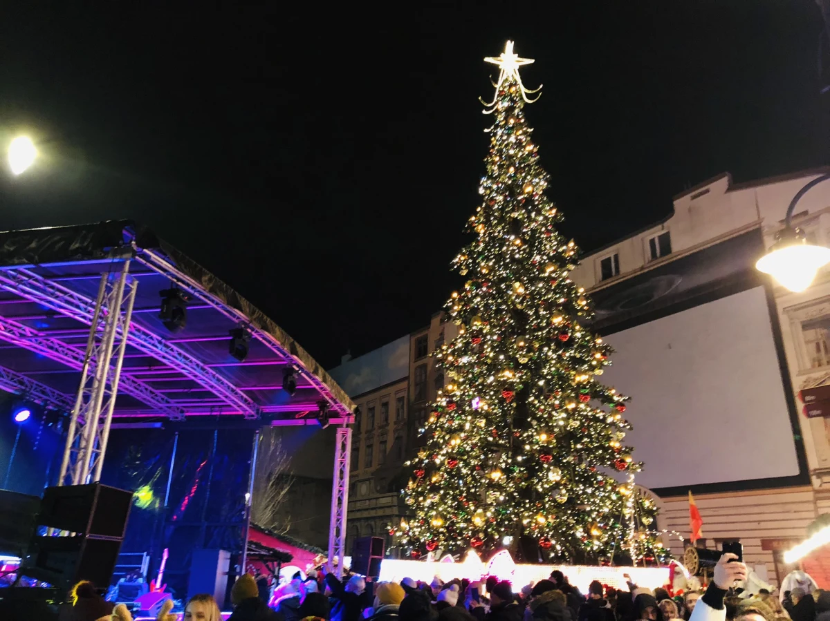 Już w pełnym blasku i mieniących się barwach można oglądać tegoroczną, największą w Łodzi choinkę. Zapalenie tysiąca światełek poprzedziło odliczanie łodzian.
