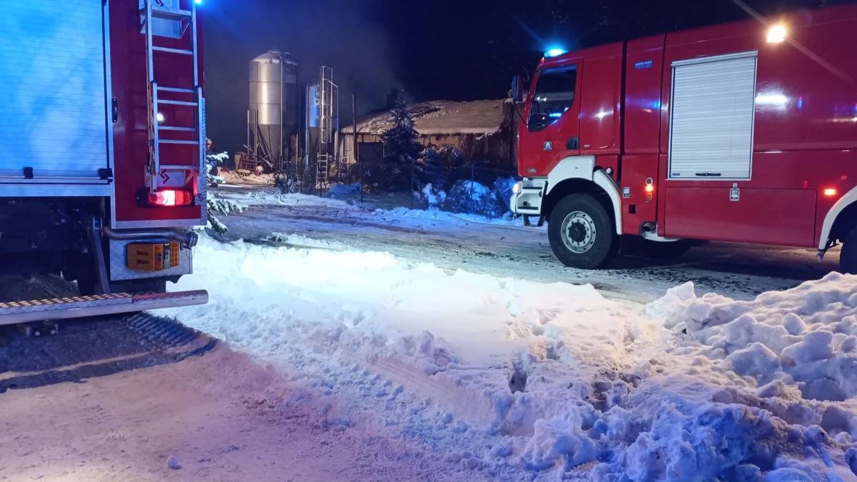 W nocy z piątku na sobotę spłonęła kurza ferma w miejscowości Rąb na Pomorzu. W akcji gaśniczej brało udział 17 zastępów straży pożarnej. Zanim na miejsce przyjechali strażacy, ogień objął całą halę. W środku było 21 tysięcy sztuk drobiu.