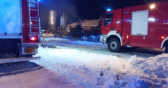 W nocy z piątku na sobotę spłonęła kurza ferma w miejscowości Rąb na Pomorzu. W akcji gaśniczej brało udział 17 zastępów straży pożarnej. Zanim na miejsce przyjechali strażacy, ogień objął całą halę. W środku było 21 tysięcy sztuk drobiu.