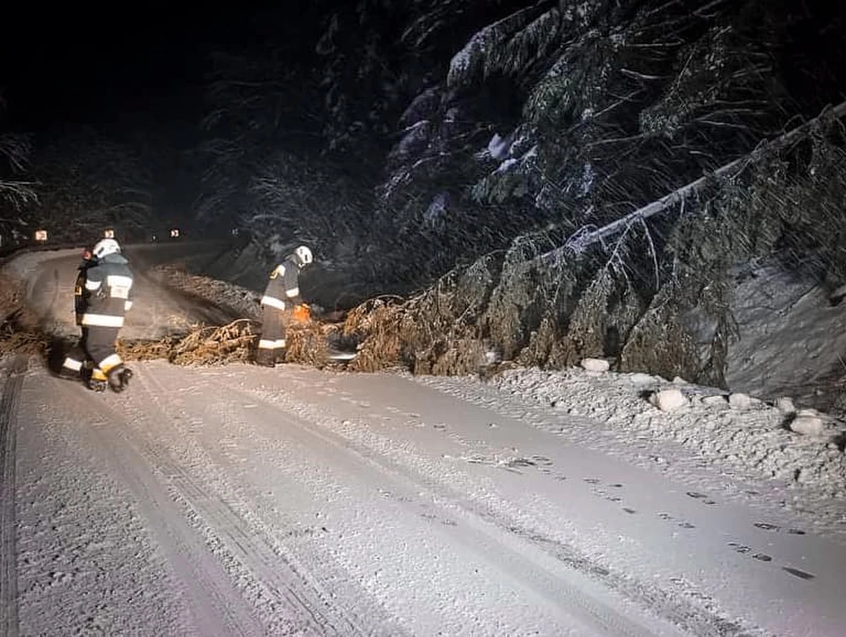 Na Podkarpaciu w niedzielę wieczorem prądu nie miało wciąż ponad 2,5 tys. odbiorców. Strażacy przez cały dzień wyjeżdżali 120 razy, ich interwencje polegały głównie na usuwaniu m.in. z dróg połamanych pod naporem śniegu konarów i drzew.