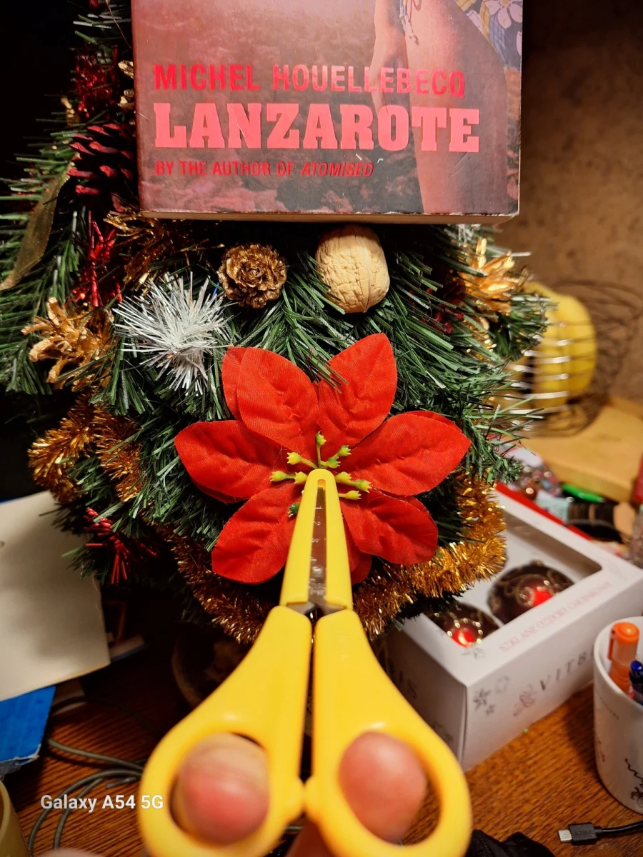 Przeczytaliśmy w jednym czasie najnowszą książkę Michela Houllebecqa - dr Joanna Wilkońska przestudiowała oryginał po francusku "Quelques mois dans ma vie (octobre 2022 - mars 2023)", ja z ołówkiem w ręku przeanalizowałem ten tekst w doskonałym przekładzie p. Beaty Geppert, zatytułowany "Kilka miesięcy mojego życia. Październik 2022 - marzec 2023".