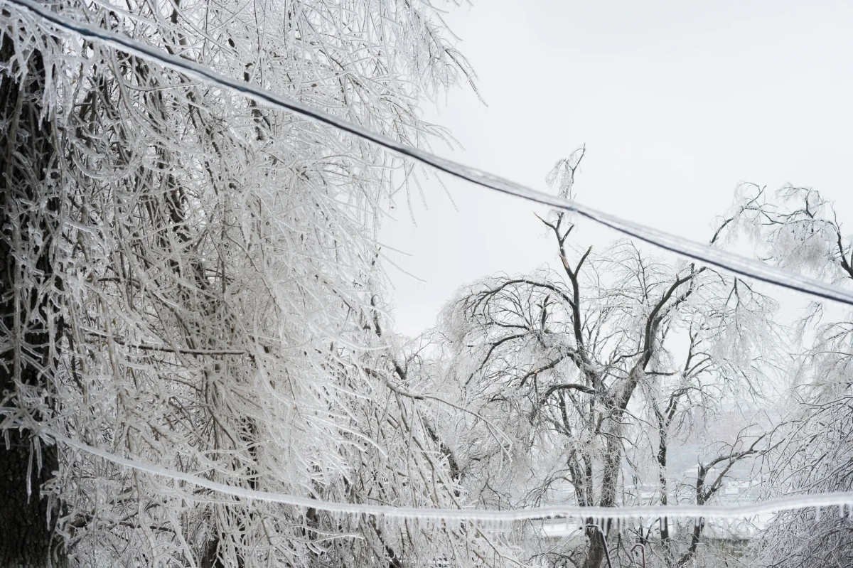 Instytut Meteorologii i Gospodarki Wodnej wydał alerty pogodowe dla kilku regionów. Ostrzeżenia dotyczą marznących opadów powodujących gołoledź i mgły intensywnie osadzającej szadź.
