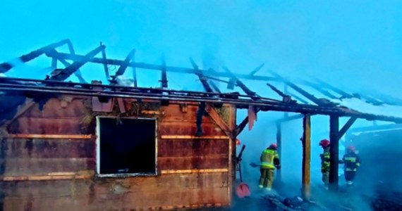 Jedna osoba zginęła w pożarze drewnianego domu w Szówsku koło Jarosławia. Na miejscu pracowało 6 zastępów straży pożarnej. 