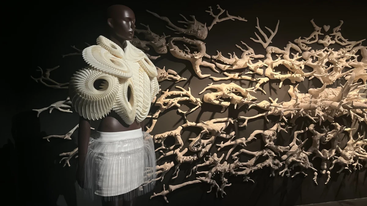 W renomowanym paryskim Muzeum Sztuk Dekoracyjnych tłumy zwiedzających przyciąga wystawa poświęcona jednej z najbardziej awangardowych dyktatorek mody - Holenderki Iris van Herpen. Wsławiła się ona m.in. tym, że projektuje wieczorowe suknie dla królowej Niderlandów Maksymy.