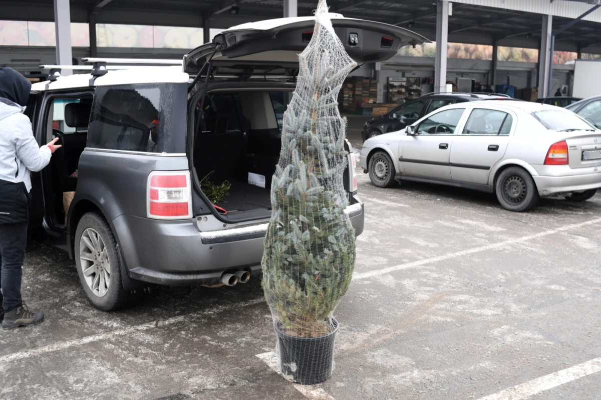 W tym roku Wigilia wypada w niedzielę. Zgodnie ze zmienionymi przez Sejm przepisami, dwie poprzedzające ją niedziele będą handlowymi. Wypadają one 10 i 17 grudnia. 