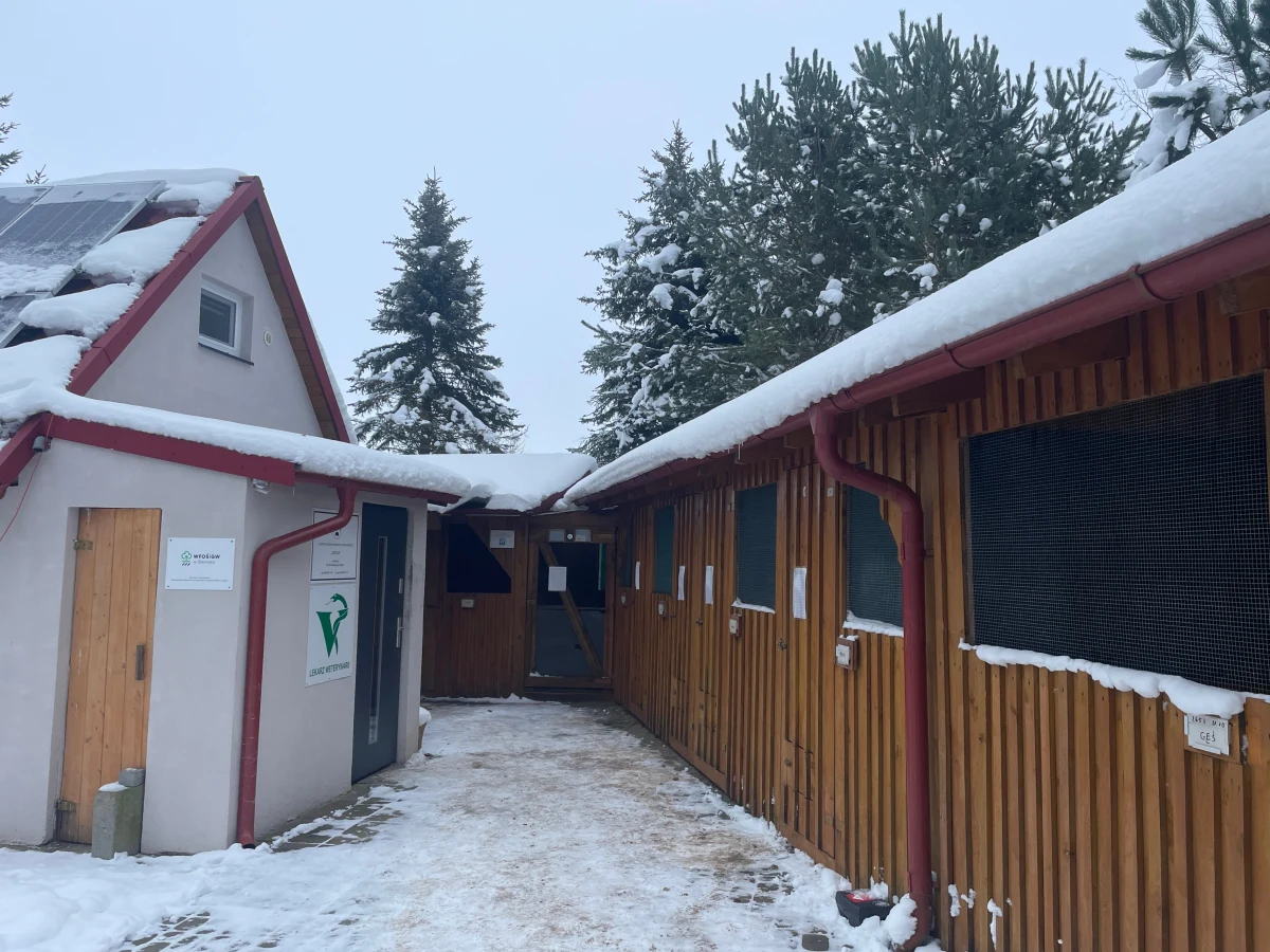 Brakuje pieniędzy na ratowanie pacjentów i specjalistyczną karmę. Dodatkowo brakuje też miejsca, bo trafiło tam ostatnio blisko pół tysiąca ptaków z nielegalnej hodowli. „To największa liczba zwierząt, jaką przyjęliśmy w historii ośrodka” – przyznaje kierownik Pomorskiego Ośrodka Rehabilitacji Dzikich Zwierząt „Ostoja”.