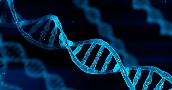 Amerykańska Agencja Żywności i Leków (FDA) dopuściła do użytku pierwszą w USA terapię genową, w której stosowane są metody edycji genów CRISPR. Lek służy do leczenia anemii sierpowatej, a jego zatwierdzenie jest według ekspertów przełomem w medycynie oraz podejściu do tej rzadkiej choroby.