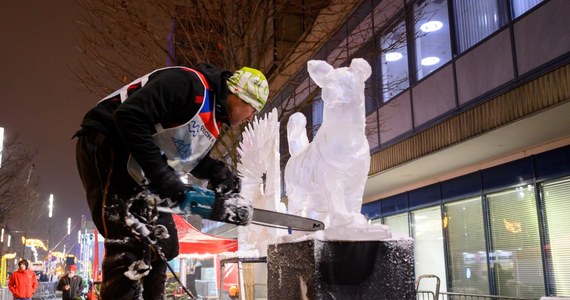 Poznań kolejny raz stał się areną zmagań rzeźbiarzy w lodzie. Udział w tegorocznej edycji Poznań Ice Festival bierze 24 artystów z 9 krajów.