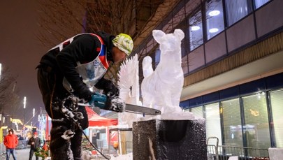 Spektakularne rzeźby z lodu. Trwa Poznań Ice Festival