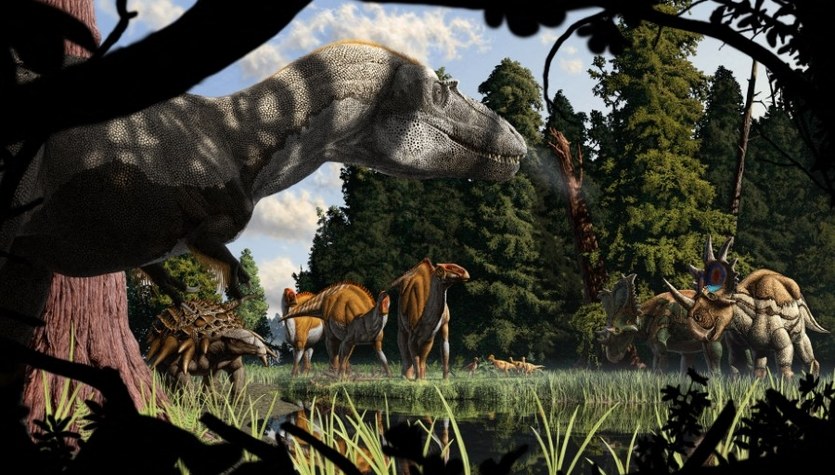 Tyrannosaurus’s last meal.  The first discovery of its kind in history