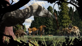 Ostatni posiłek tyranozaura. Pierwsze takie odkrycie w historii