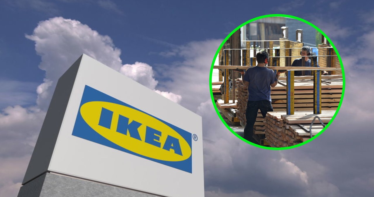 Lasy, Państwowe, wycofały, przestrzegania, zasad, produkcji, drewna, jakie, gwarantował, międzynarodowy, certyfikat, producentów Ikea przestanie kupować polskie drewno? Koszty produkcji wzrosną o kilkadziesiąt procent