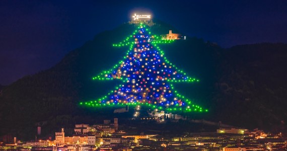 ​750 metrów wysokości ma świetlna choinka, która po raz 43. została zainstalowana na zboczu góry w miasteczku Gubbio w Umbrii w środkowych Włoszech, uważanym za jedno z najpiękniejszych w kraju. Przed Bożym Narodzeniem przybywają tam tysiące osób, by zobaczyć choinkę, zapalaną codziennie o zmierzchu. Mieszkańcy miejscowości szczycą się tym, że jest to największe na świecie bożonarodzeniowe drzewko.
