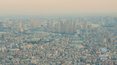 „Polacy za granicą”: Wycieczka po najbardziej turystycznych miejscach Tokio