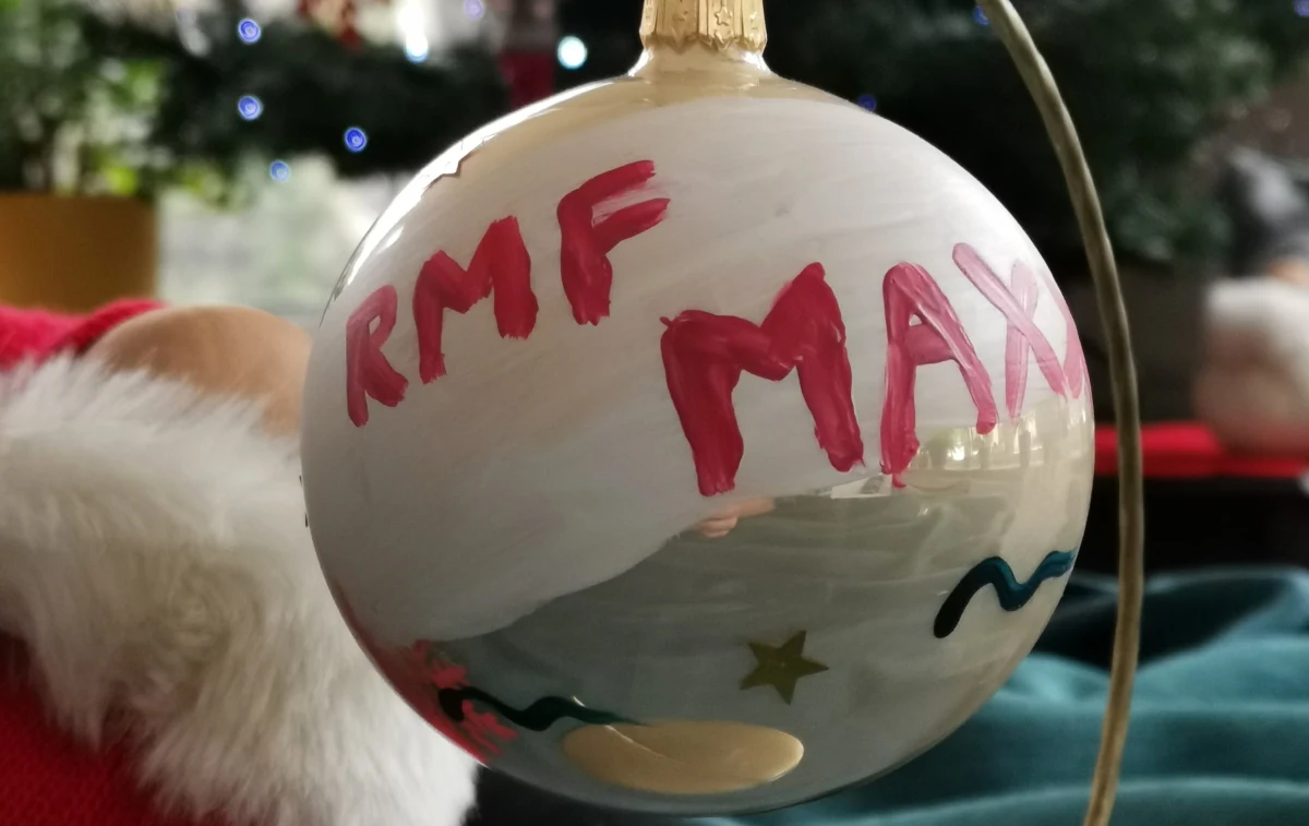 Fundacja Hospicyjna, opiekująca się gdańskim Hospicjum im. ks. E. Dutkiewicza SAC, rozpoczyna akcję "Gwiazdy malują gwiazdy". To 11. edycja charytatywnego wydarzenia.