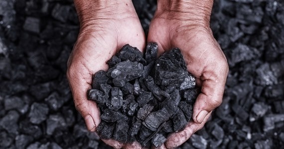 Tańszy węgiel w sklepie internetowym Polskiej Grupy Górniczej. Oferta obowiązuje od dziś. Akcja dotyczy wybranych rodzajów węgla. 