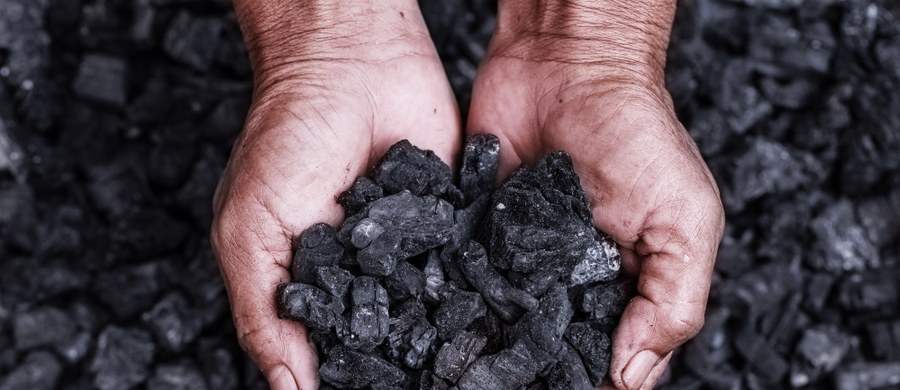 Tańszy węgiel w sklepie internetowym Polskiej Grupy Górniczej. Oferta obowiązuje od dziś. Akcja dotyczy wybranych rodzajów węgla. 