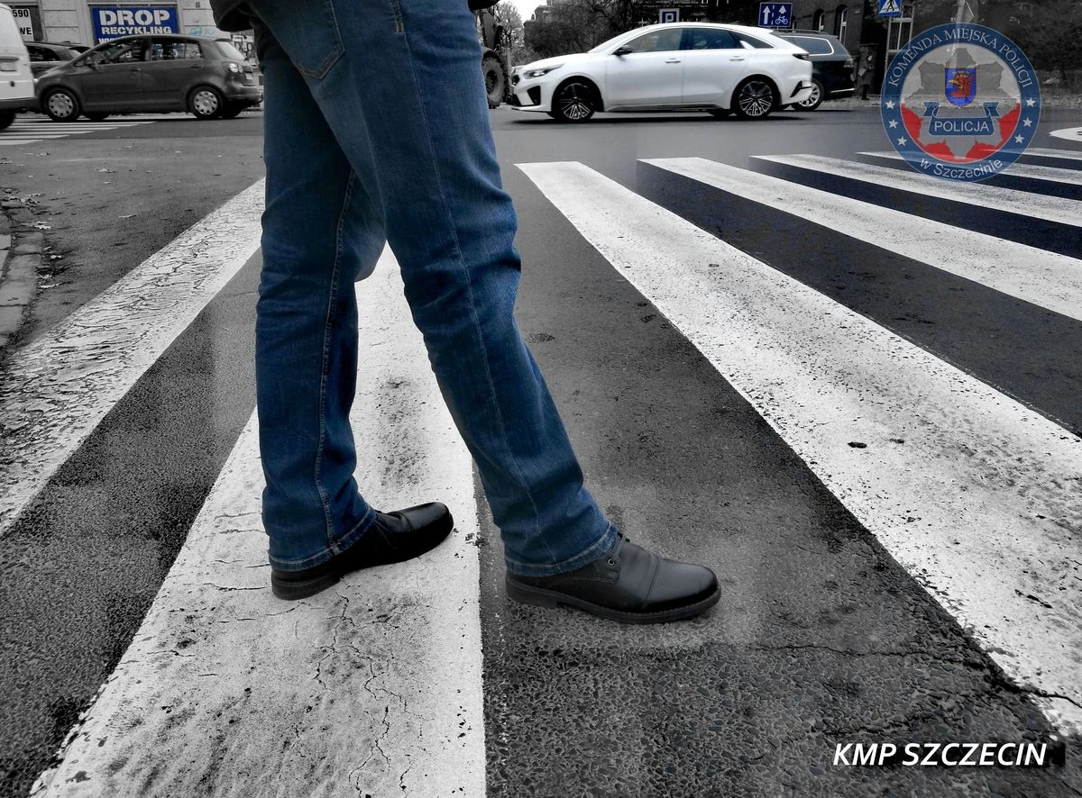 Takiego finału policyjnej interwencji nie spodziewali się ani zgłaszający, ani funkcjonariusze. Mężczyzna, który w centrum Szczecina zablokował ruch, stojąc na przejściu dla pieszych, oskarżył o napaść kierowcę, kierowcę twierdził, że ten uniemożliwia przejazd. Okazało się, że to pieszy niejedno miał na sumieniu.   