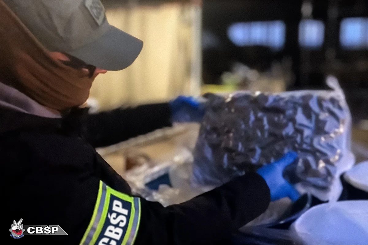 Dziewięciu Holendrów, w tym jedną osobę nieletnią, zatrzymało Centralne Biuro Śledcze Policji w związku z próbą kradzieży 120 kilogramów kokainy, która jest przechowywana w terminalu kontenerowym w Gdyni - poinformowała prokuratura. Wszyscy usłyszeli zarzuty.