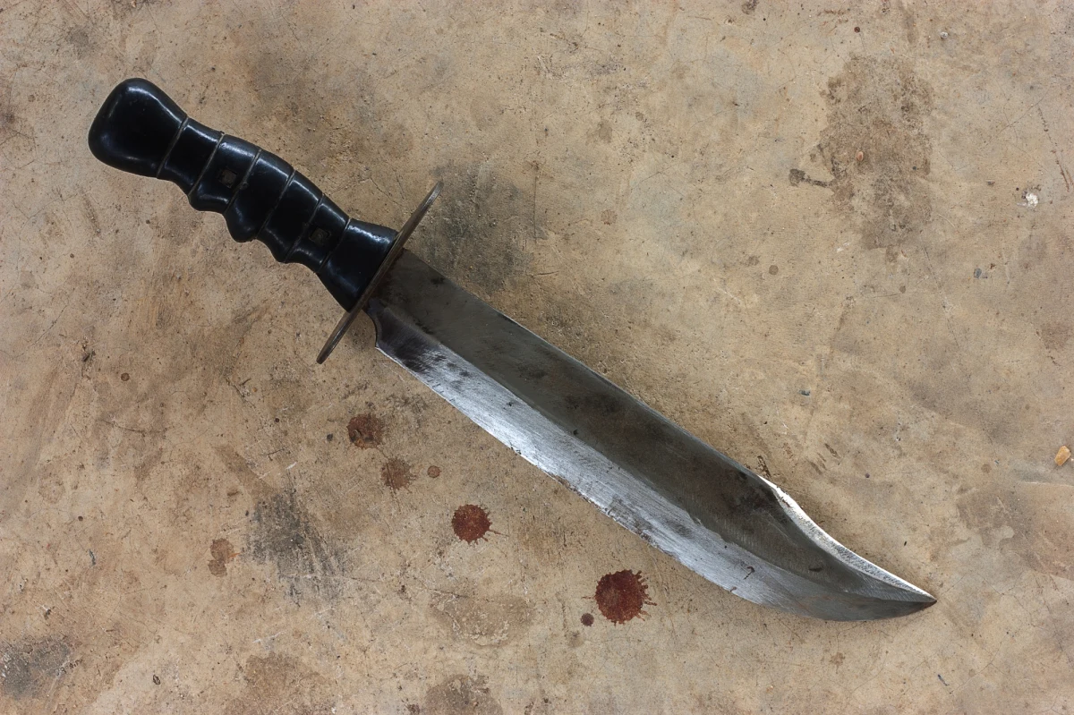 Policjanci z Gostynina (woj. mazowieckie) sprawców ataku z użyciem maczety, do którego doszło w niedzielę. Zatrzymani to dwóch 17-latków i 23-latek. Poszkodowanymi byli dwaj mężczyźni w wieku 33 lat i 38 lat, którym udzielono pomocy medycznej.