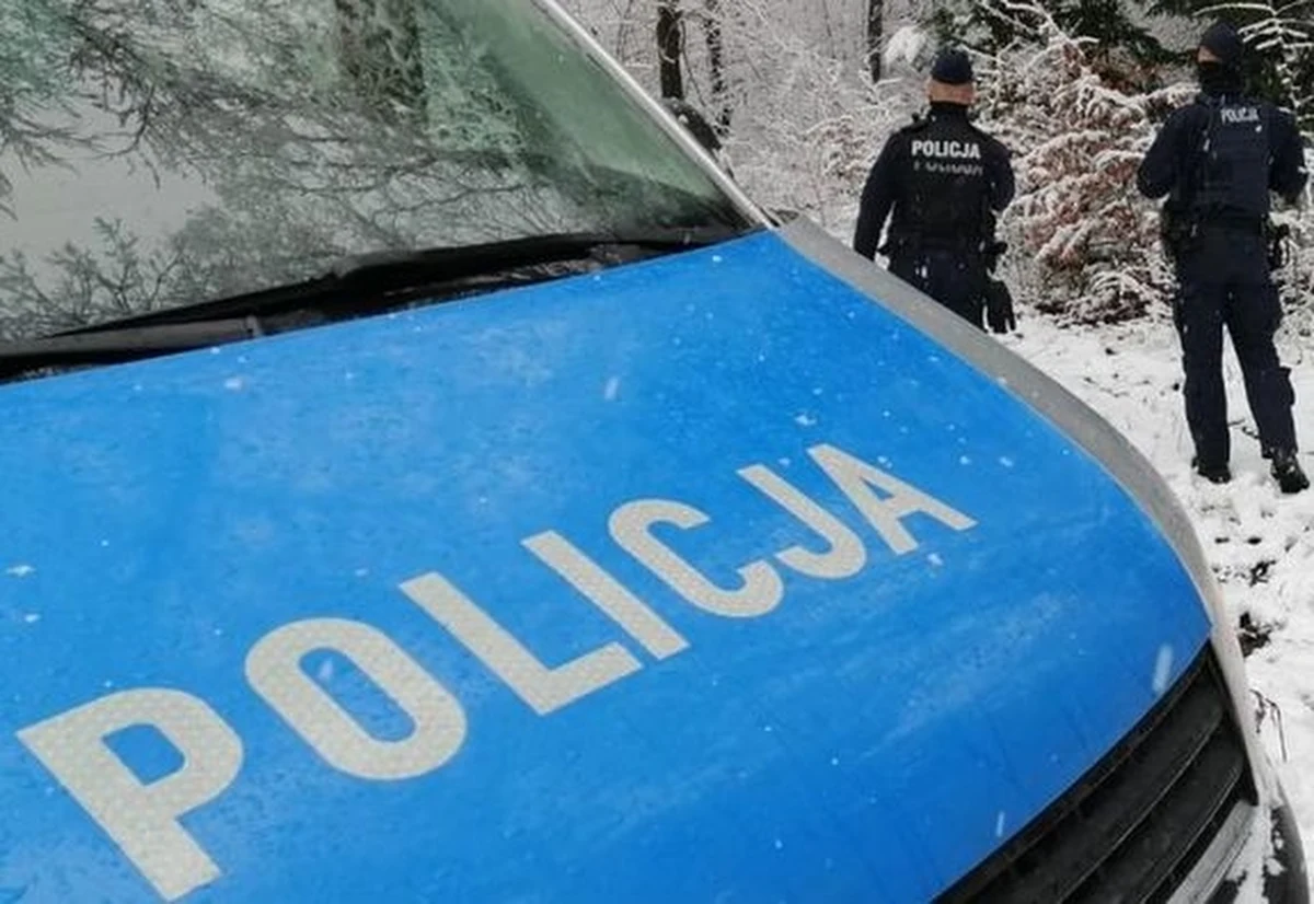 Przemarznięta, bardzo zmęczona i zdezorientowana była młoda kobieta, która szła pasem awaryjnym wzdłuż autostrady A1. Po skończeniu pracy w gminie Stryków chciała pieszo wrócić do domu, korzystając z nawigacji, ta jednak poprowadziła ją kilkadziesiąt kilometrów od celu.